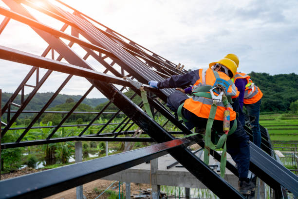 Best Roof Gutter Cleaning  in St David, AZ