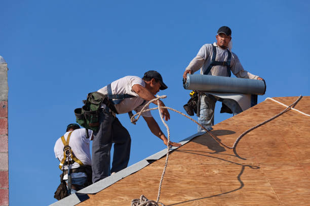 Best Roof Leak Repair  in St David, AZ